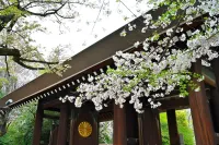 img of 惣島写真館ウェブサイト(実在)