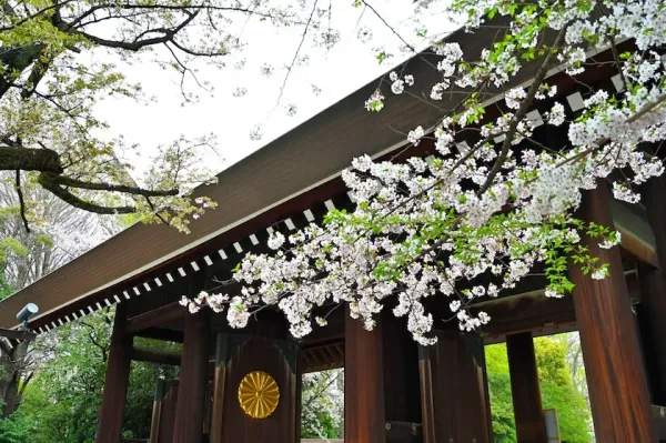 img of 惣島写真館ウェブサイト(実在)